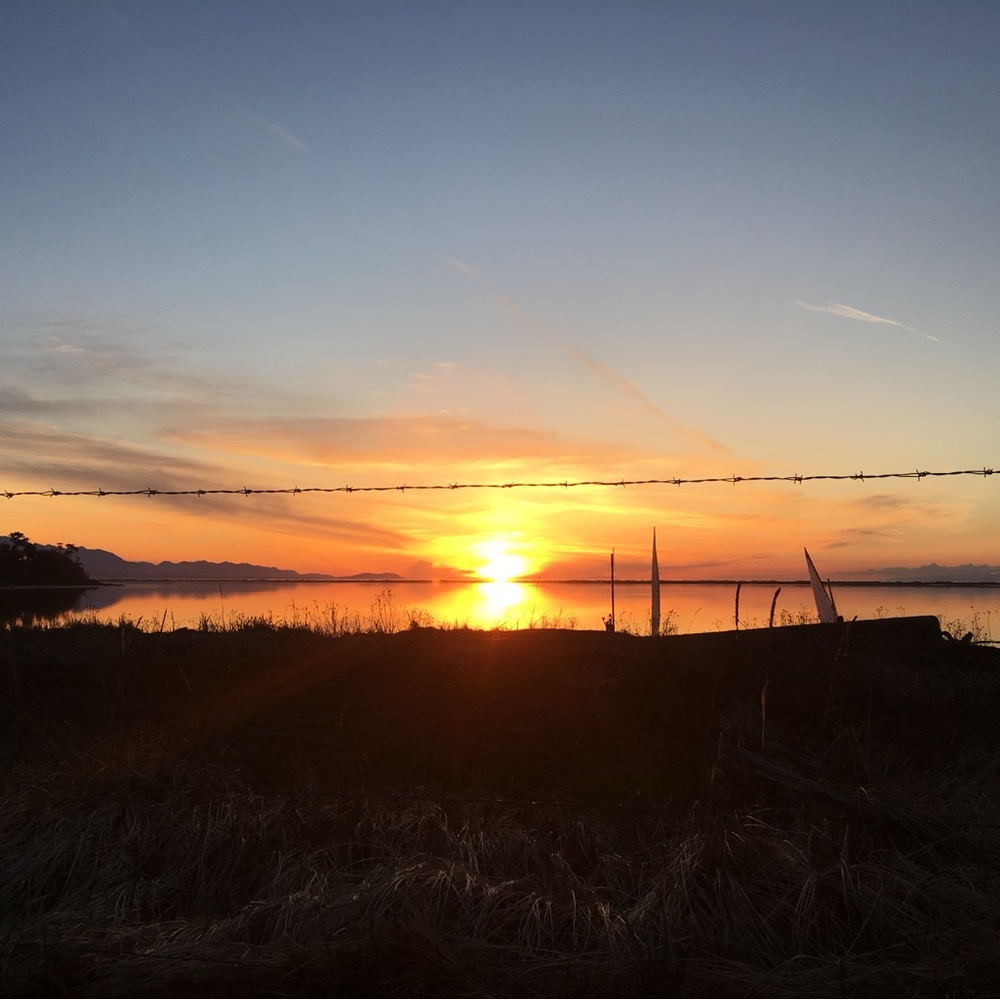 Meet your Posher, Isabella